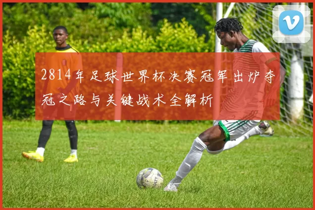 2814年足球世界杯决赛冠军出炉夺冠之路与关键战术全解析