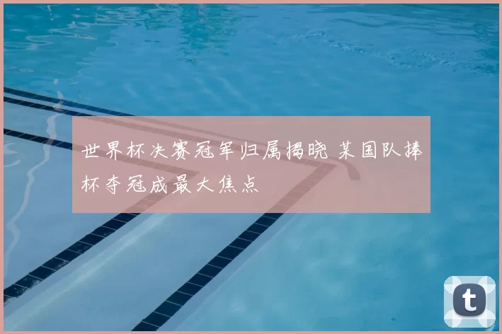 世界杯决赛冠军归属揭晓 某国队捧杯夺冠成最大焦点