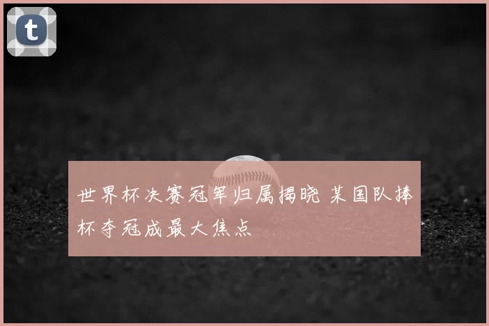 世界杯决赛冠军归属揭晓 某国队捧杯夺冠成最大焦点