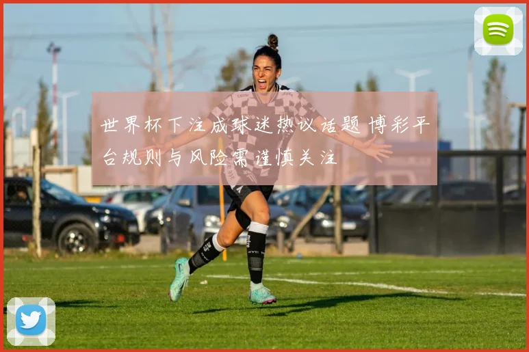 世界杯下注成球迷热议话题 博彩平台规则与风险需谨慎关注