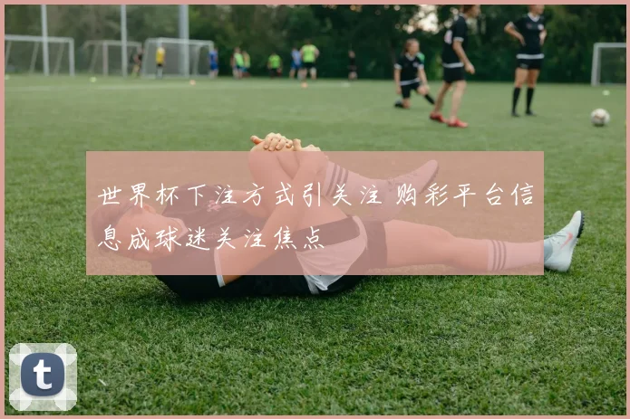 世界杯下注方式引关注 购彩平台信息成球迷关注焦点